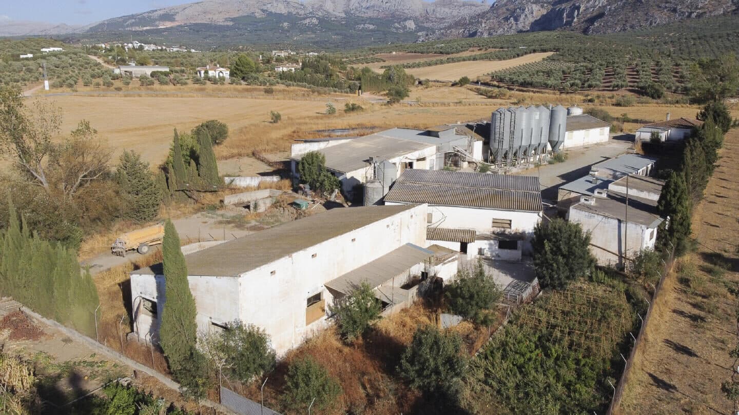 Explotación Ganadera Antequera | Renta Fija 2.500€ | Inversión Prime
